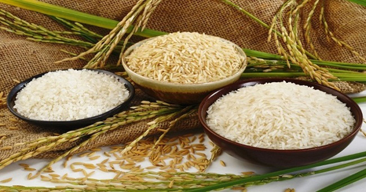 Thế nào là gạo hữu cơ ?