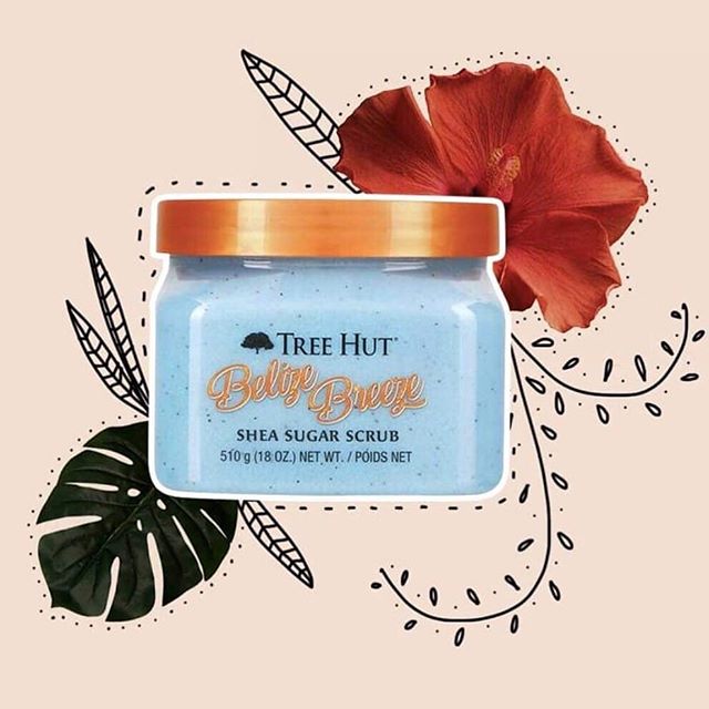 Tree Hut Belize Breeze Shea Sugar Scrub