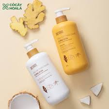 Combo Dầu Gội Xả Thảo Dược Hữu Cơ Gừng Dừa Cỏ Cây Hoa Lá 650g Sạch Gàu Ngứa