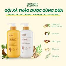 Dầu Gội Thảo Dược Hữu Cơ Gừng Dừa Cỏ Cây Hoa Lá 650g Sạch Gàu Ngứa